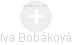 Iva Bobáková - Vizualizace  propojení osoby a firem v obchodním rejstříku