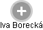 Iva Borecká - Vizualizace  propojení osoby a firem v obchodním rejstříku