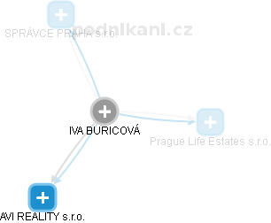 IVA BURICOVÁ - Vizualizace  propojení osoby a firem v obchodním rejstříku