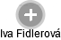 Iva Fidlerová - Vizualizace  propojení osoby a firem v obchodním rejstříku