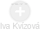Iva Kvízová - Vizualizace  propojení osoby a firem v obchodním rejstříku