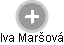 Iva Maršová - Vizualizace  propojení osoby a firem v obchodním rejstříku