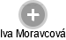 Iva Moravcová - Vizualizace  propojení osoby a firem v obchodním rejstříku