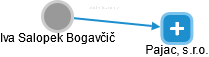 Iva Salopek Bogavčič - Vizualizace  propojení osoby a firem v obchodním rejstříku