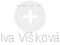Iva Víšková - Vizualizace  propojení osoby a firem v obchodním rejstříku