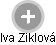Iva Ziklová - Vizualizace  propojení osoby a firem v obchodním rejstříku