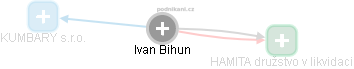 Ivan Bihun - Vizualizace  propojení osoby a firem v obchodním rejstříku