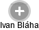 Ivan Bláha - Vizualizace  propojení osoby a firem v obchodním rejstříku