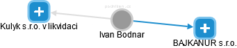 Ivan Bodnar - Vizualizace  propojení osoby a firem v obchodním rejstříku