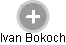 Ivan Bokoch - Vizualizace  propojení osoby a firem v obchodním rejstříku