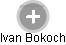 Ivan Bokoch - Vizualizace  propojení osoby a firem v obchodním rejstříku