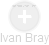 Ivan Bray - Vizualizace  propojení osoby a firem v obchodním rejstříku