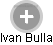 Ivan Bulla - Vizualizace  propojení osoby a firem v obchodním rejstříku