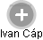 Ivan Cáp - Vizualizace  propojení osoby a firem v obchodním rejstříku