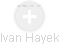 Ivan Hayek - Vizualizace  propojení osoby a firem v obchodním rejstříku