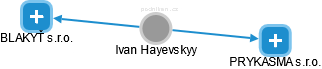 Ivan Hayevskyy - Vizualizace  propojení osoby a firem v obchodním rejstříku