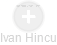Ivan Hincu - Vizualizace  propojení osoby a firem v obchodním rejstříku