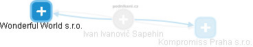 Ivan Ivanovič Sapehin - Vizualizace  propojení osoby a firem v obchodním rejstříku