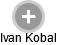  Ivan K. - Vizualizace  propojení osoby a firem v obchodním rejstříku