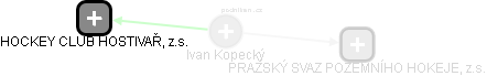 Ivan Kopecký - Vizualizace  propojení osoby a firem v obchodním rejstříku