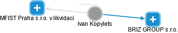 Ivan Kopylets - Vizualizace  propojení osoby a firem v obchodním rejstříku