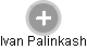 Ivan Palinkash - Vizualizace  propojení osoby a firem v obchodním rejstříku