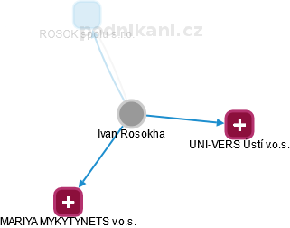 Ivan Rosokha - Vizualizace  propojení osoby a firem v obchodním rejstříku