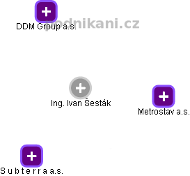 Ivan Šesták - Vizualizace  propojení osoby a firem v obchodním rejstříku