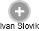Ivan Slovik - Vizualizace  propojení osoby a firem v obchodním rejstříku