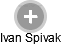 Ivan Spivak - Vizualizace  propojení osoby a firem v obchodním rejstříku