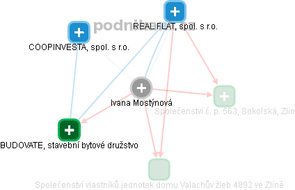 Ivana Mostýnová - Vizualizace  propojení osoby a firem v obchodním rejstříku
