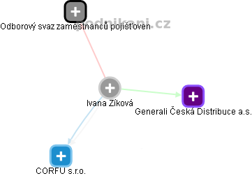  Ivana Z. - Vizualizace  propojení osoby a firem v obchodním rejstříku