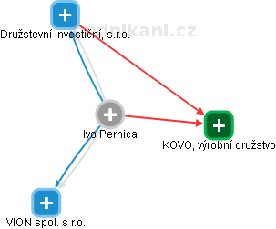 Ivo Pernica - Vizualizace  propojení osoby a firem v obchodním rejstříku