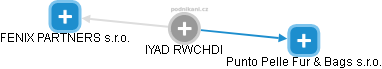 IYAD RWCHDI - Vizualizace  propojení osoby a firem v obchodním rejstříku