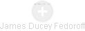 James Ducey Fedoroff - Vizualizace  propojení osoby a firem v obchodním rejstříku