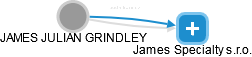JAMES JULIAN GRINDLEY - Vizualizace  propojení osoby a firem v obchodním rejstříku