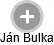 Ján Bulka - Vizualizace  propojení osoby a firem v obchodním rejstříku