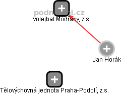 Jan Horák - Vizualizace  propojení osoby a firem v obchodním rejstříku
