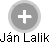  Ján L. - Vizualizace  propojení osoby a firem v obchodním rejstříku