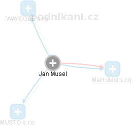 Jan Musel - Vizualizace  propojení osoby a firem v obchodním rejstříku