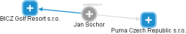 Jan Sochor - Vizualizace  propojení osoby a firem v obchodním rejstříku