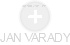 JAN VARADY - Vizualizace  propojení osoby a firem v obchodním rejstříku