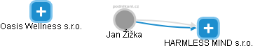  Jan Žižka - Vizualizace  propojení osoby a firem v obchodním rejstříku