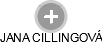  Cillingová J. - Vizualizace  propojení osoby a firem v obchodním rejstříku