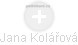  Jana Kolářová - Vizualizace  propojení osoby a firem v obchodním rejstříku