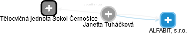  Janetta T. - Vizualizace  propojení osoby a firem v obchodním rejstříku