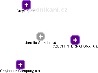 Jarmila Grondolová - Vizualizace  propojení osoby a firem v obchodním rejstříku