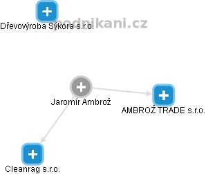  Jaromír A. - Vizualizace  propojení osoby a firem v obchodním rejstříku