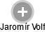 Jaromír Volf - Vizualizace  propojení osoby a firem v obchodním rejstříku