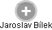  Jaroslav Bílek - Vizualizace  propojení osoby a firem v obchodním rejstříku